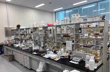 Esthemax facility