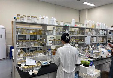 Esthemax facility